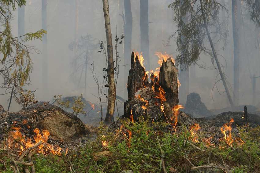 Rischio incendi boschivi